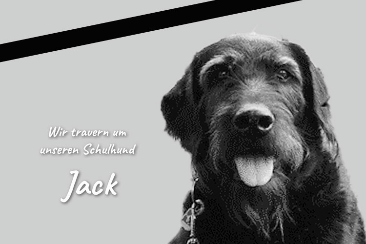 Wir trauern um Jack